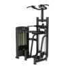 DipChin Assist Tiger Sport TM-FD09
