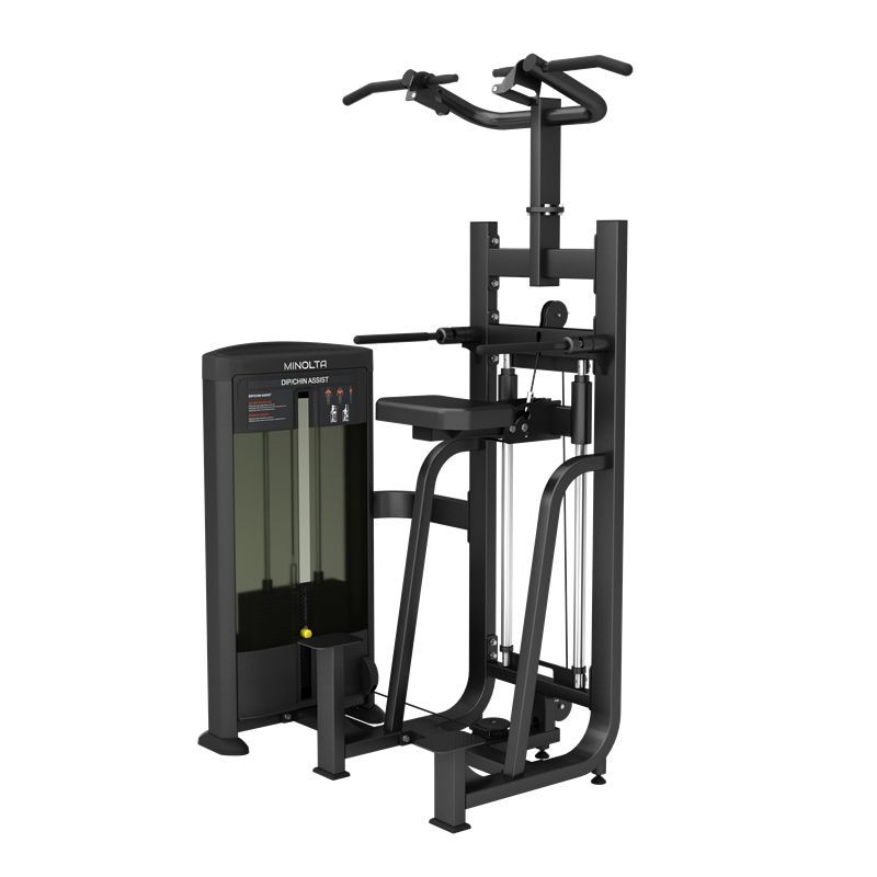 DipChin Assist Tiger Sport TM-FD09 2 DipChin Assist Tiger Sport TM-FD09