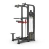 DipChin Assist Tiger Sport TM-FM11