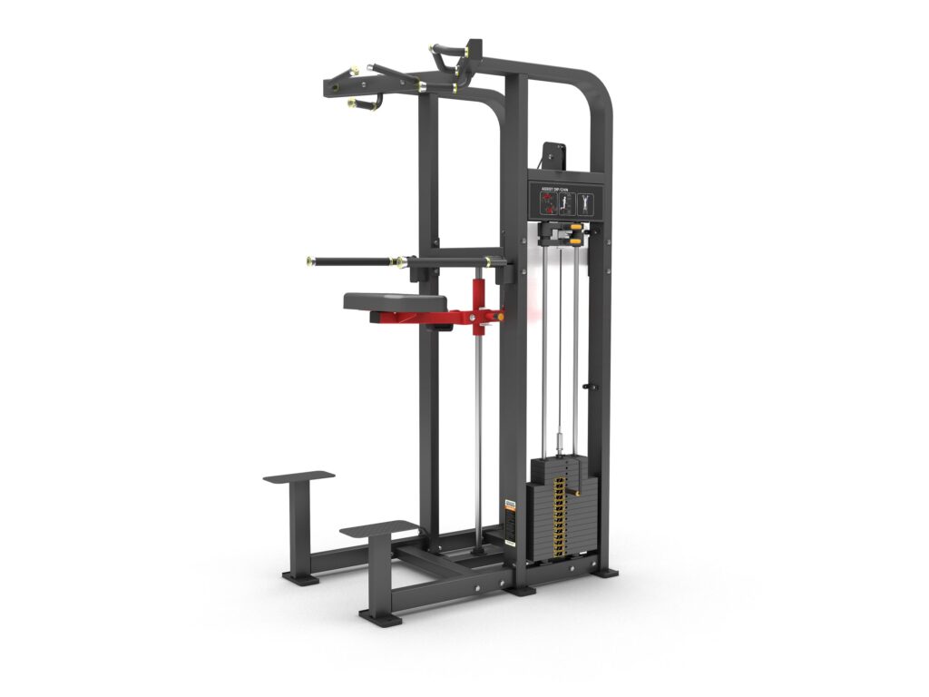 DipChin Assist Tiger Sport TM-FM11