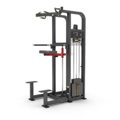 DipChin Assist Tiger Sport TM-FM11