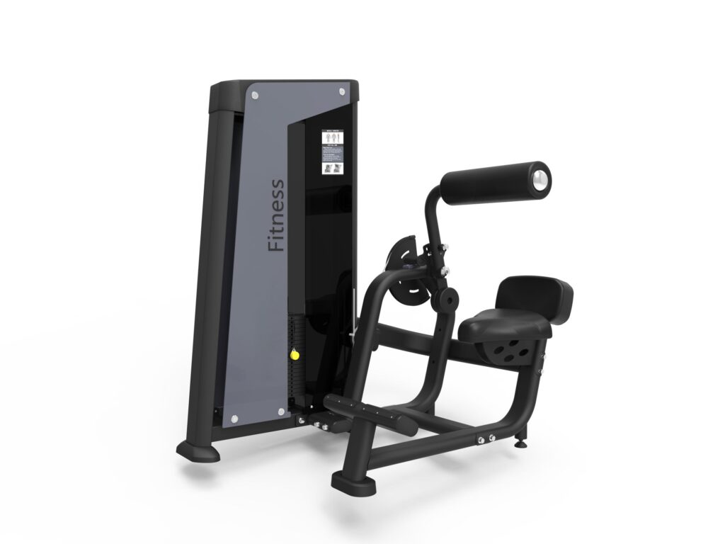 Back Extension Máy Tập Cơ Lưng Tiger Sport TM-FH31