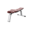 Flat Bench Ghế tập đa năng không điều chỉnh TM-AN08