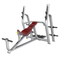 Incline Bench(Luxury) Ghế đẩy ngực trên TM-AN59