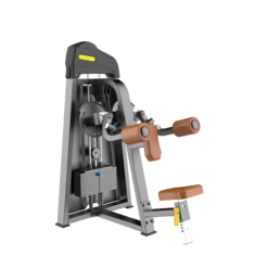 Lateral Raise Máy khối banh vai Tiger Sport TM-F05
