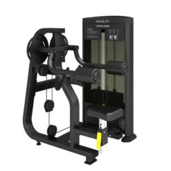 Lateral Raise Tiger Sport TM-FD05