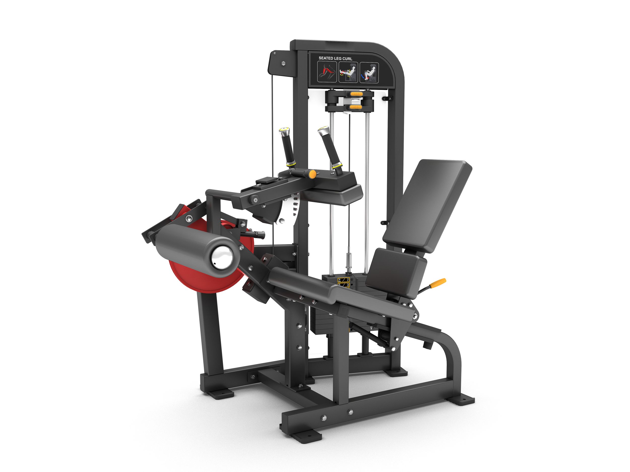 Leg Curl Tiger Sport TM-FM14 Leg Curl Tiger Sport TM-FM14
