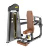 Seated Dip Máy khối tập tay sau TM-F26