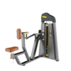 Vertical Row Máy khối kéo lưng xô Tiger Sport TM-F34