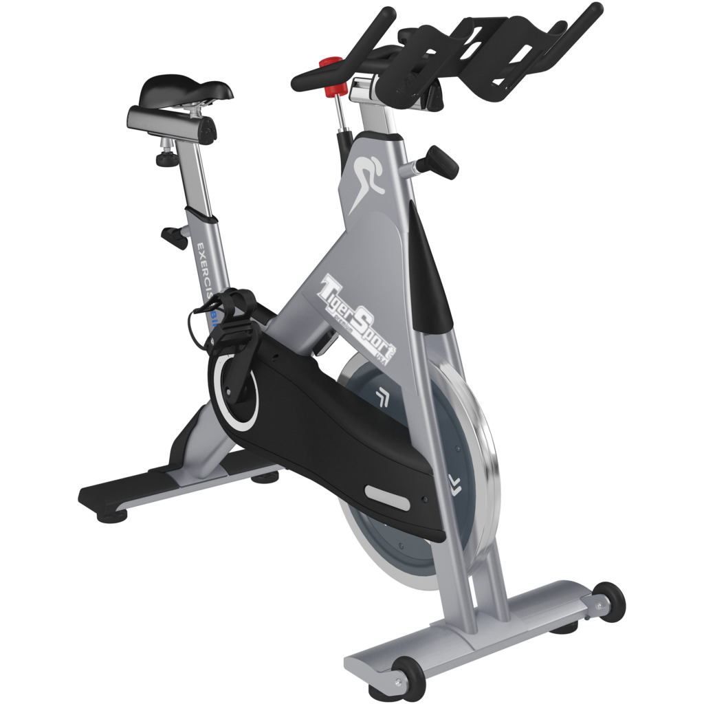 Exercise Bike Xe đạp tập Tiger Sport TM-D12 1 Exercise Bike Xe đạp tập Tiger Sport TM-D12