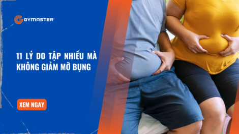 11 Lý Do Tập Nhiều Mà Không Giảm Mỡ Bụng 24 11 Lý Do Tập Nhiều Mà Không Giảm Mỡ Bụng 24