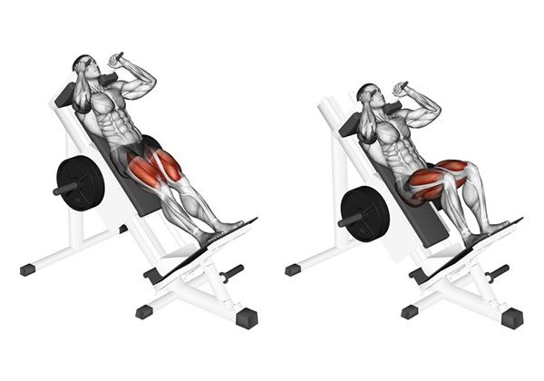 Chi Tiết Lịch Tập Chân, Cơ Bắp Chân 7 Ngày 6 Chi Tiết Lịch Tập Chân, Cơ Bắp Chân 7 Ngày 6