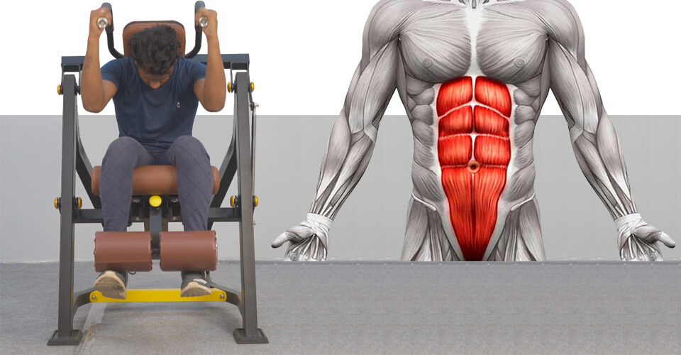 Máy Tập Cơ Bụng Tại Nhà Nào Hiệu Quả Nhất? Cách Chọn Mua 10 Máy Tập Cơ Bụng Tại Nhà Nào Hiệu Quả Nhất? Cách Chọn Mua 9