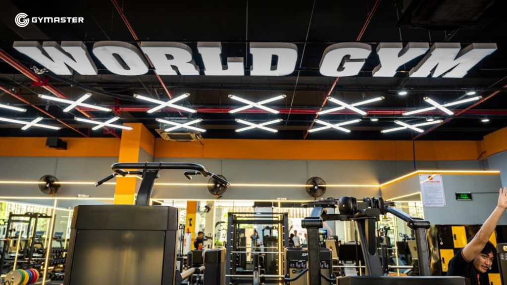 TƯ VẤN SETUP PHÒNG GYM WORLD GYM ĐỒNG NAI 12