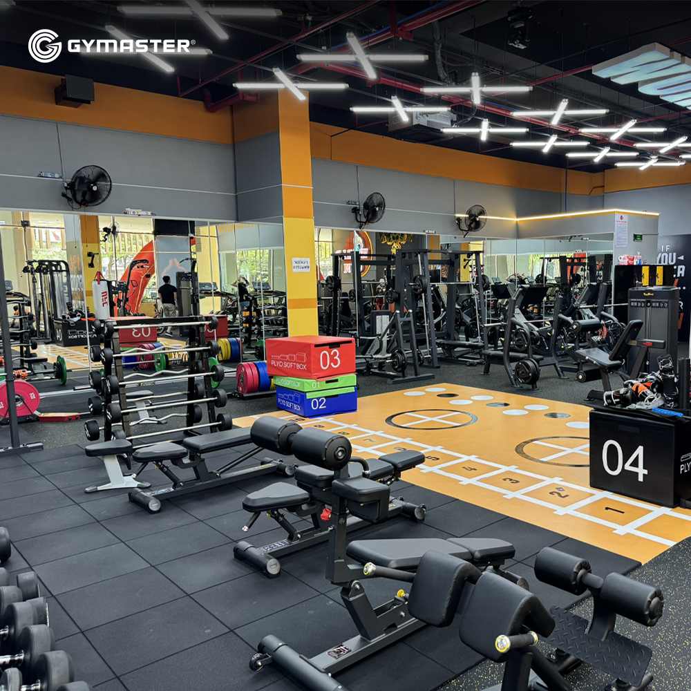 TƯ VẤN SETUP PHÒNG GYM WORLD GYM ĐỒNG NAI 3