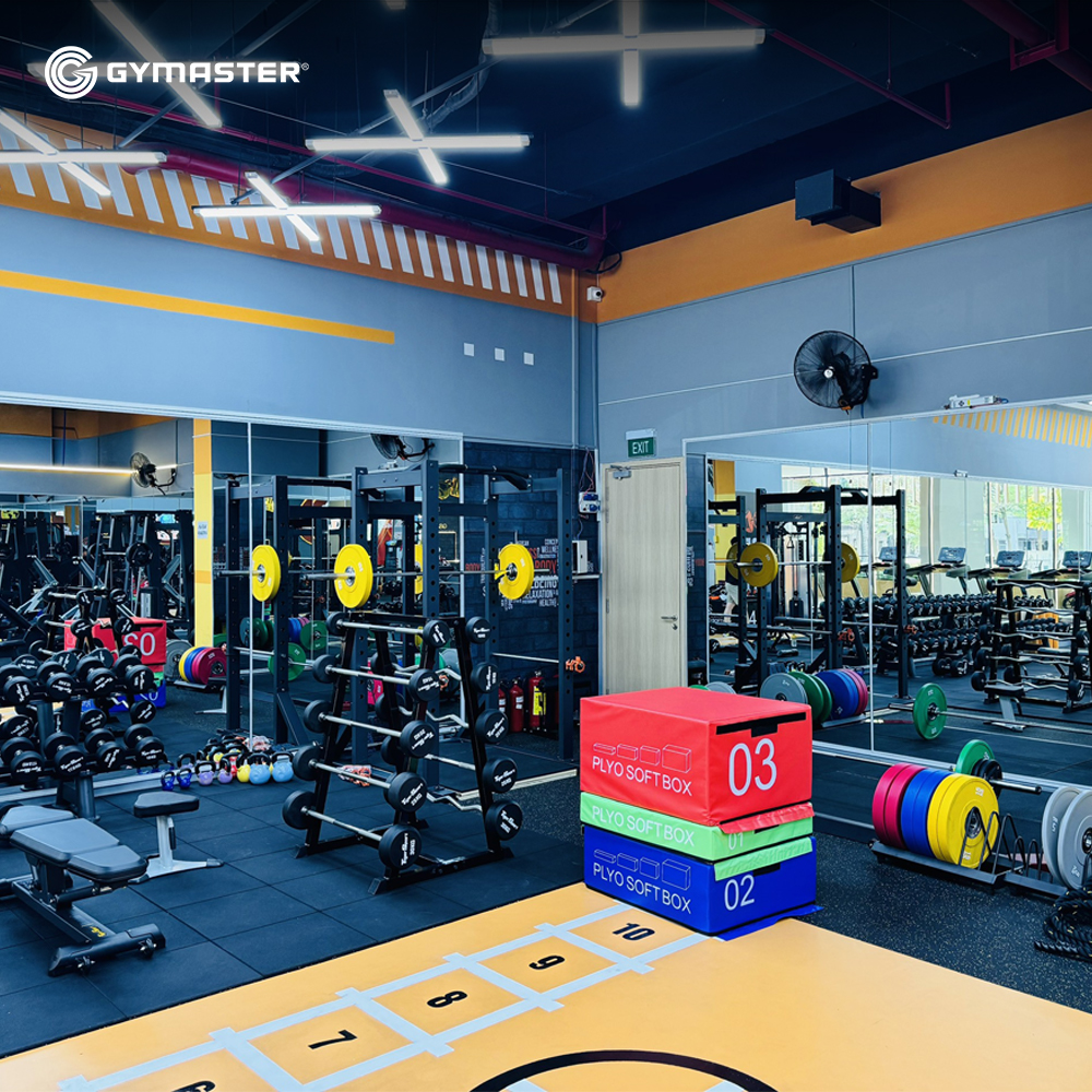 TƯ VẤN SETUP PHÒNG GYM WORLD GYM ĐỒNG NAI 2