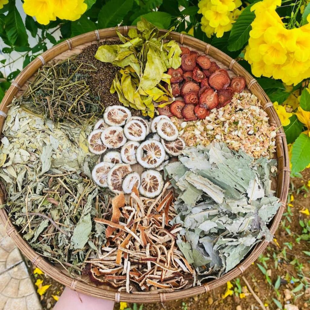Uống Lá Nam Giảm Cân 10 vị Có An Toàn, Hiệu Quả Không 2 Uống Lá Nam Giảm Cân 10 vị Có An Toàn, Hiệu Quả Không 2
