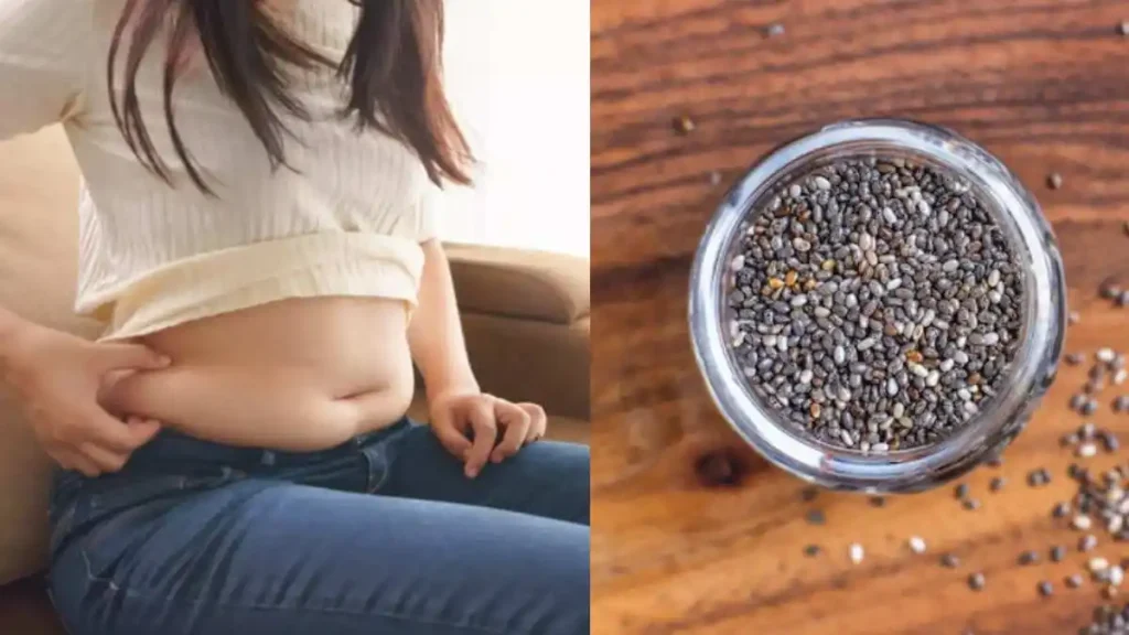 Giảm Cân Bằng Hạt Chia Có Hiệu Quả Không? 3