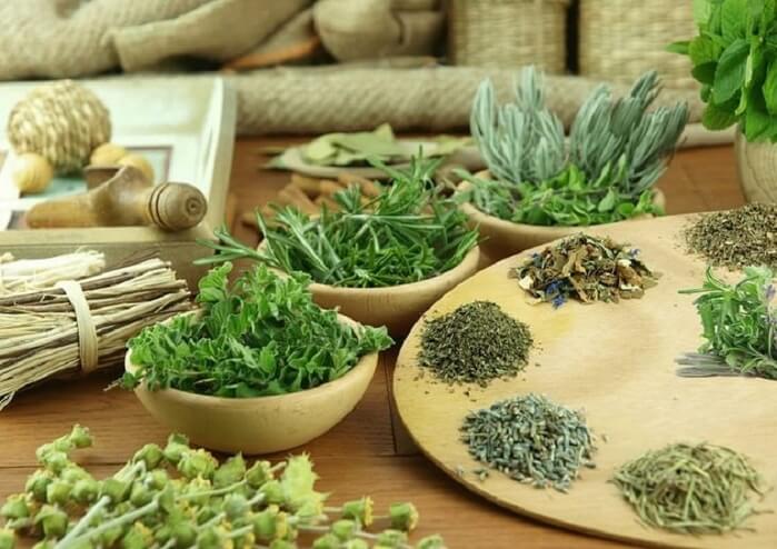 Uống Lá Nam Giảm Cân 10 vị Có An Toàn, Hiệu Quả Không 5 Uống Lá Nam Giảm Cân 10 vị Có An Toàn, Hiệu Quả Không 5