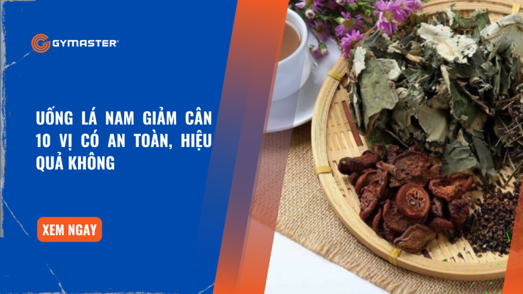 Uống Lá Nam Giảm Cân 10 vị Có An Toàn, Hiệu Quả Không 1 Uống Lá Nam Giảm Cân 10 vị Có An Toàn, Hiệu Quả Không 1