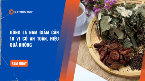 Uống Lá Nam Giảm Cân 10 vị Có An Toàn, Hiệu Quả Không 21