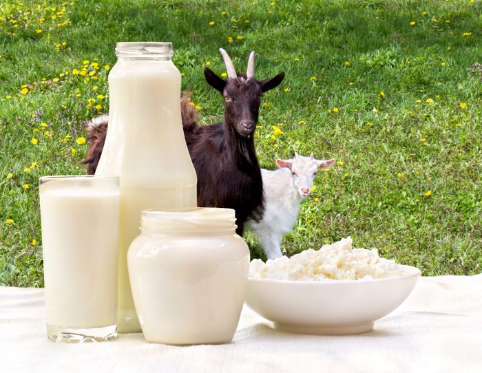 Top 7 Nguồn Sữa Giảm Cân Tốt Nhất Từ Tự Nhiên 7