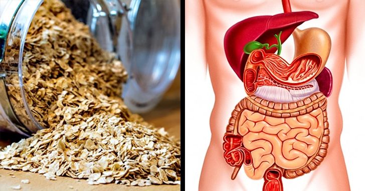 11 Lợi Ích Khi Thêm Yến Mạch Vào Khẩu Phần Ăn Hằng Ngày 3