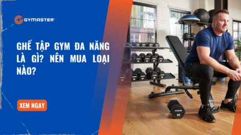Ghế Tập Gym Đa Năng Là Gì? Nên Mua Loại Nào 43