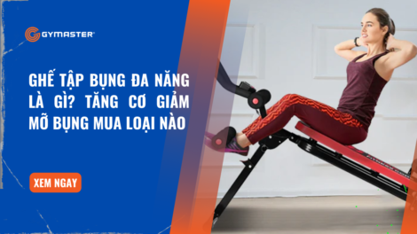 Ghế Tập Bụng Đa Năng Là Gì? Tăng Cơ Giảm Mỡ Bụng Mua Loại Nào 24