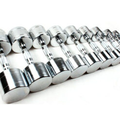 Tạ Tay Đôi inox Tiger Sport TM-WG058 99.000/KG