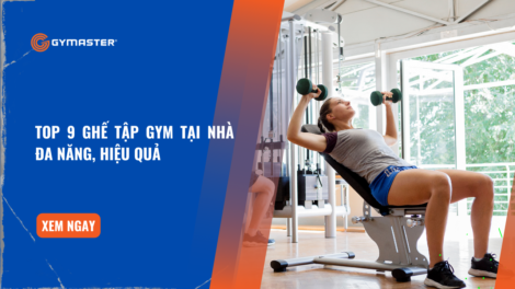 Top 9 Ghế Tập Gym Tại Nhà Đa Năng, Hiệu Quả 14