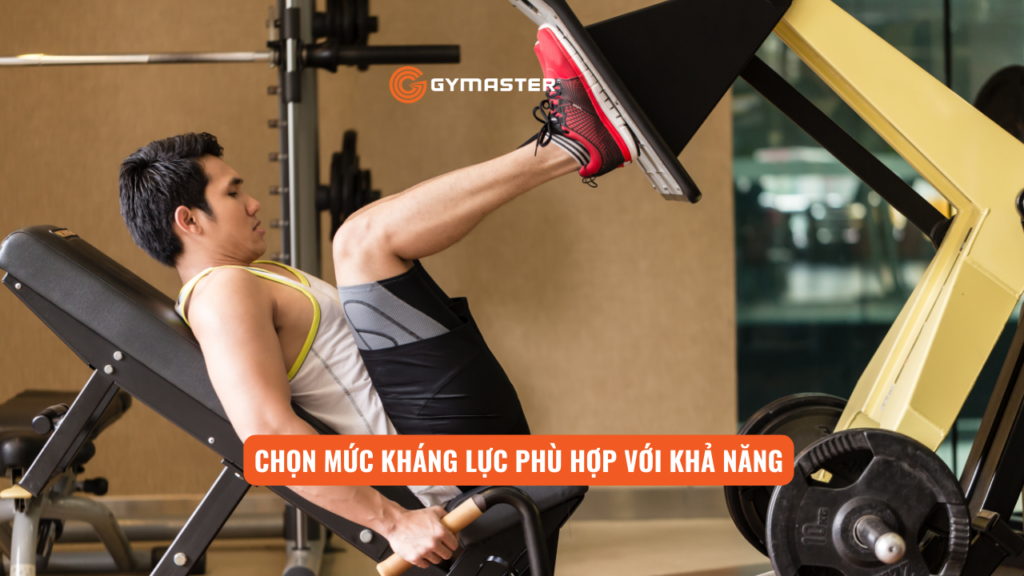 Máy Đạp Đùi Phòng Gym: Bí Quyết Sở Hữu Đôi Chân Săn Chắc 2