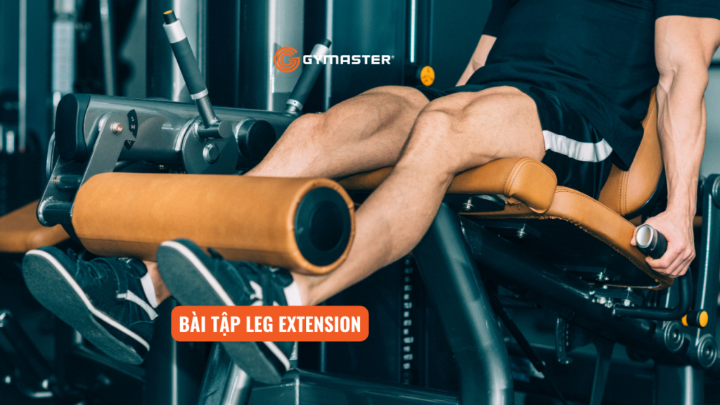 Máy Đạp Đùi Phòng Gym: Bí Quyết Sở Hữu Đôi Chân Săn Chắc 3