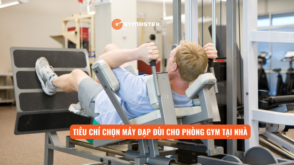 Máy Đạp Đùi Cho Phòng Gym Tại Nhà: Nên Chọn Loại Nào? 2