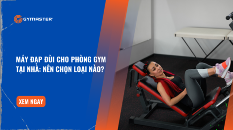 Máy Đạp Đùi Cho Phòng Gym Tại Nhà: Nên Chọn Loại Nào? 44