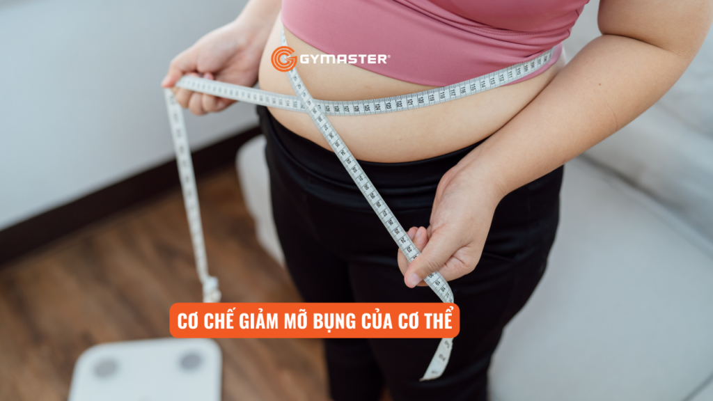 Máy Tập Cơ Bụng Có Giúp Tan Mỡ Bụng Không? 3 Máy Tập Cơ Bụng Có Giúp Tan Mỡ Bụng Không? 3