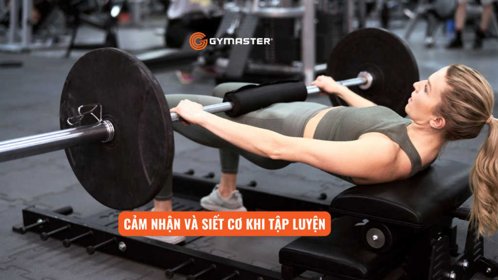 Máy Tập Mông Cho Người Mới Bắt Đầu: Tập Máy Nào Phù Hợp 6 Máy Tập Mông Cho Người Mới Bắt Đầu: Tập Máy Nào Phù Hợp 3