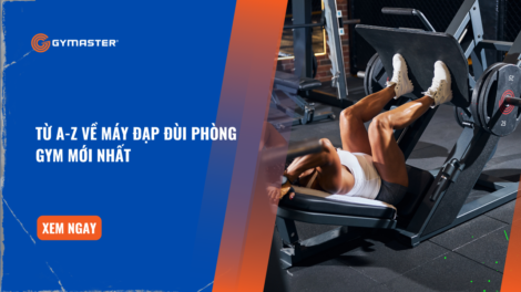 Từ A-Z Về Máy Đạp Đùi Phòng Gym Mới Nhất 2024 21