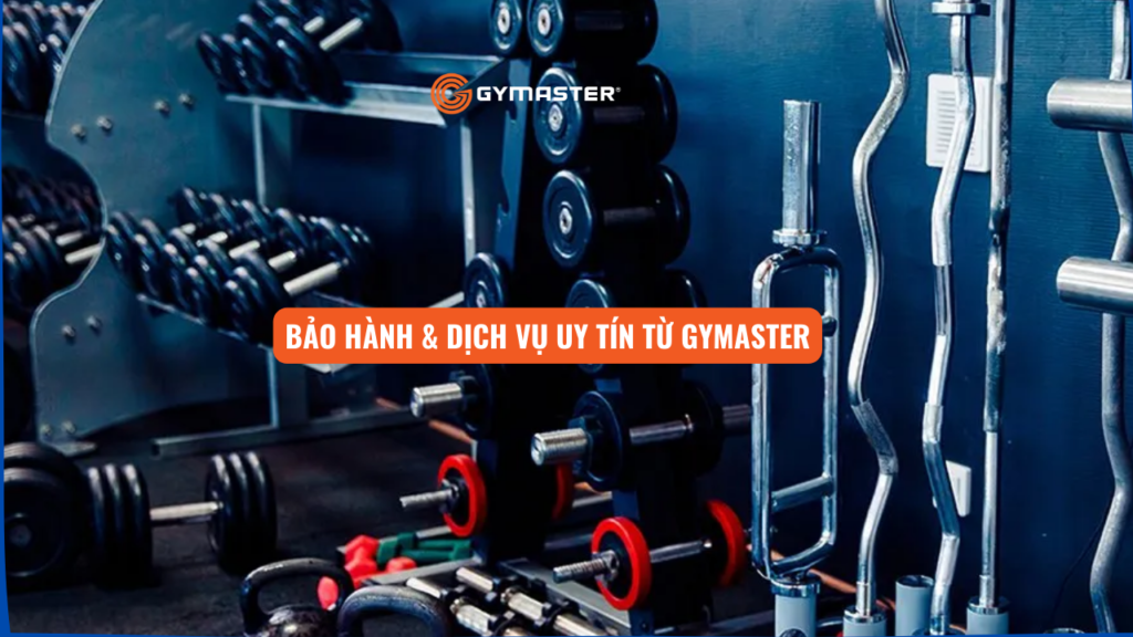 Tại Sao Nên Đầu Tư Ghế Tập Bụng Gymaster Cho Phòng Gym 4