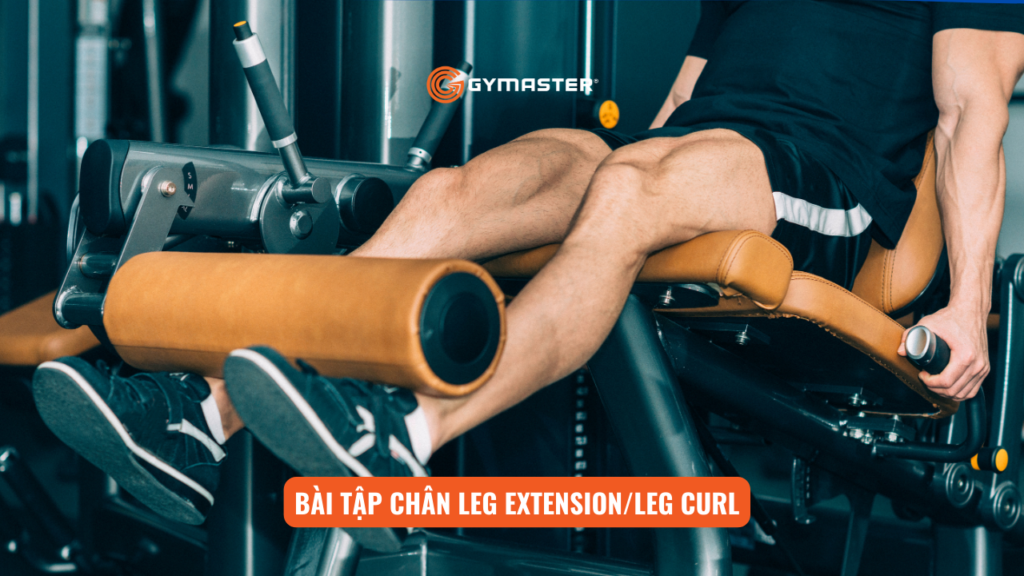 Hướng Dẫn Tập Luyện Với Giàn Tạ Đa Năng Tại Nhà Cho Người Mới Bắt Đầu 4