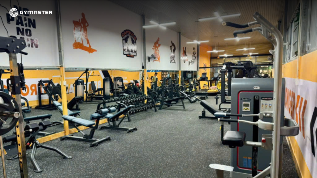 TƯ VẤN SETUP PHÒNG GYM DUY PHÚ GYM CENTER LÂM ĐỒNG 12
