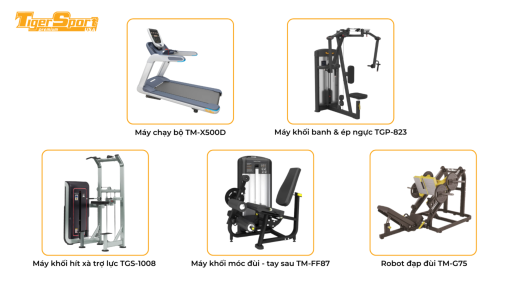 TƯ VẤN SETUP PHÒNG GYM DUY PHÚ GYM CENTER LÂM ĐỒNG 4