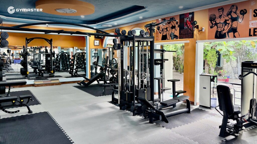 So Sánh Thiết Bị Gym Nhập Khẩu Và Nội Địa: Lựa Chọn Tối Ưu Cho Phòng Tập Của Bạn 3 So Sánh Thiết Bị Gym Nhập Khẩu Và Nội Địa: Lựa Chọn Tối Ưu Cho Phòng Tập Của Bạn 2