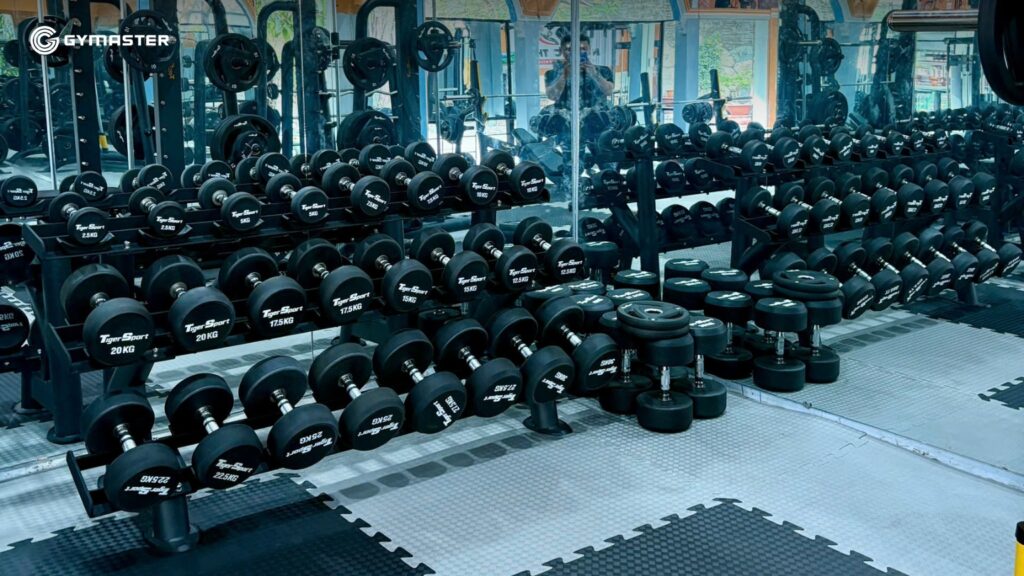 Top Thiết Bị home gym không thể thiếu Người Mới Bắt Đầu 2 Top Thiết Bị home gym không thể thiếu Người Mới Bắt Đầu 1