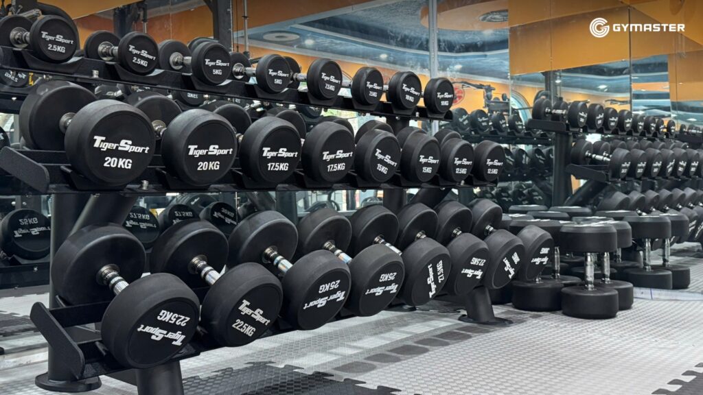 TƯ VẤN SETUP PHÒNG GYM NGỌC THIỆN GYM CENTER - NHÀ BÈ 10 TƯ VẤN SETUP PHÒNG GYM NGỌC THIỆN GYM CENTER - NHÀ BÈ 10