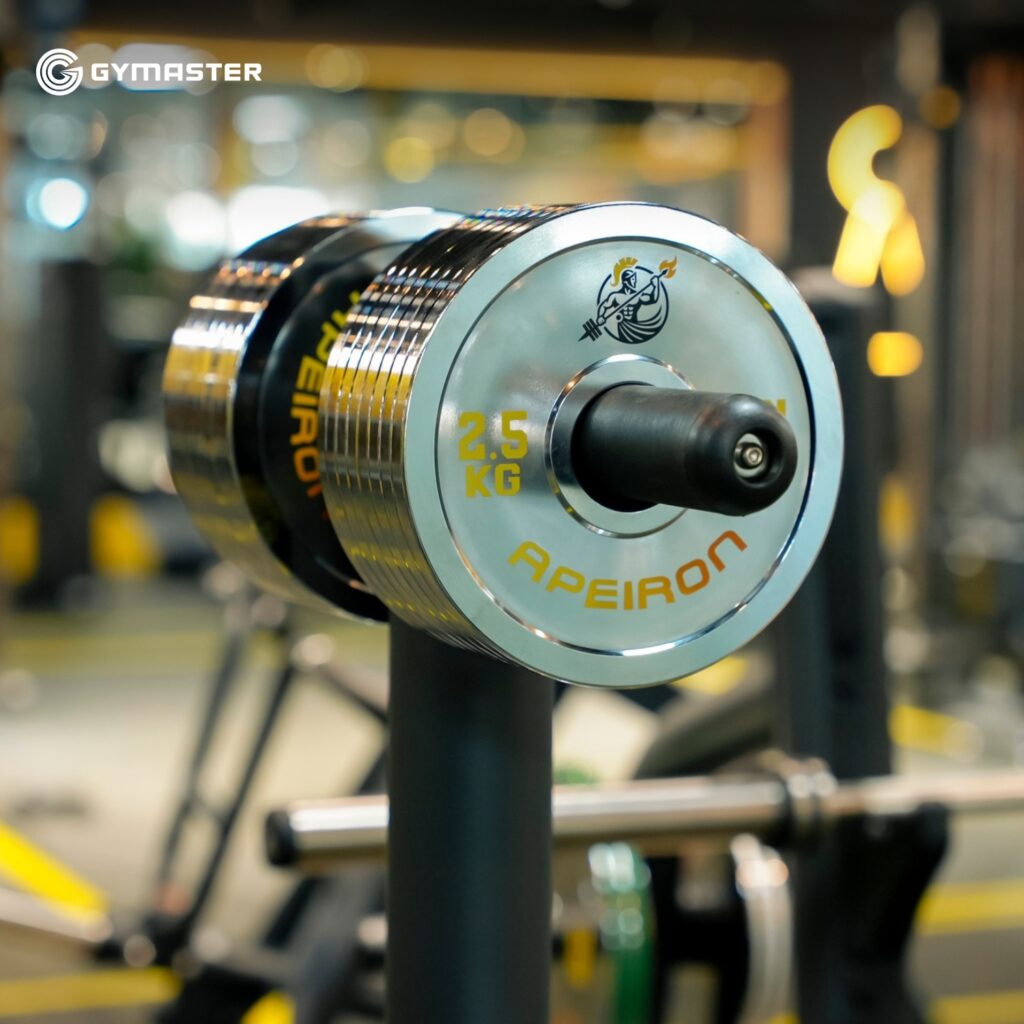 TƯ VẤN SETUP PHÒNG GYM APEIRON FITNESS - QUẬN 7 25
