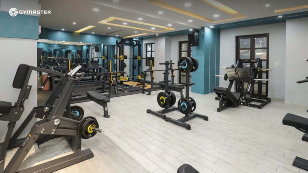 Mua Thiết Bị Gym Chính Hãng: Bí Quyết Chọn Lựa Cho Phòng Tập Chuyên Nghiệp 2