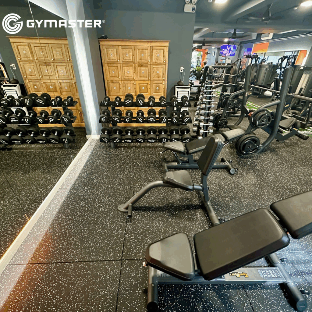 GYMASTER TƯ VẤN SETUP PHÒNG GYM LEONTINA CHI NHÁNH 2 – TIẾP BƯỚC THÀNH CÔNG 11 GYMASTER TƯ VẤN SETUP PHÒNG GYM LEONTINA CHI NHÁNH 2 – TIẾP BƯỚC THÀNH CÔNG 10