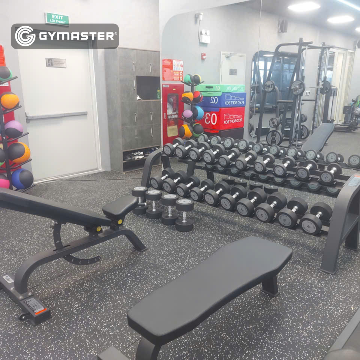 Hướng Dẫn Chi Tiết A-Z Cách Setup Homegym Hoàn Hảo Tại Nhà Với Gymaster 2