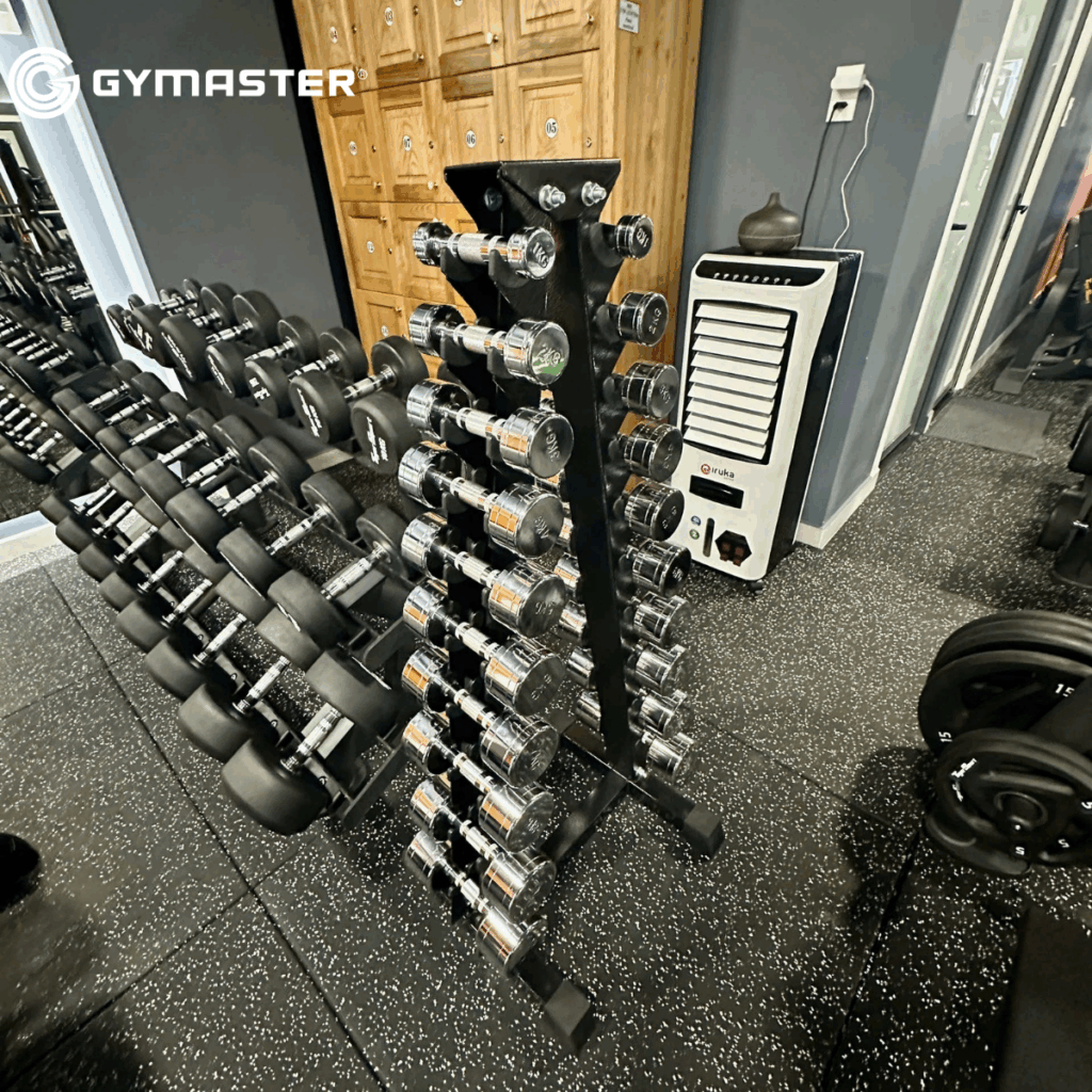 GYMASTER TƯ VẤN SETUP PHÒNG GYM LEONTINA CHI NHÁNH 2 – TIẾP BƯỚC THÀNH CÔNG 13 GYMASTER TƯ VẤN SETUP PHÒNG GYM LEONTINA CHI NHÁNH 2 – TIẾP BƯỚC THÀNH CÔNG 12